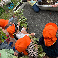 フォトギャラリー2025年10月