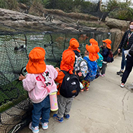 フォトギャラリー2025年11月