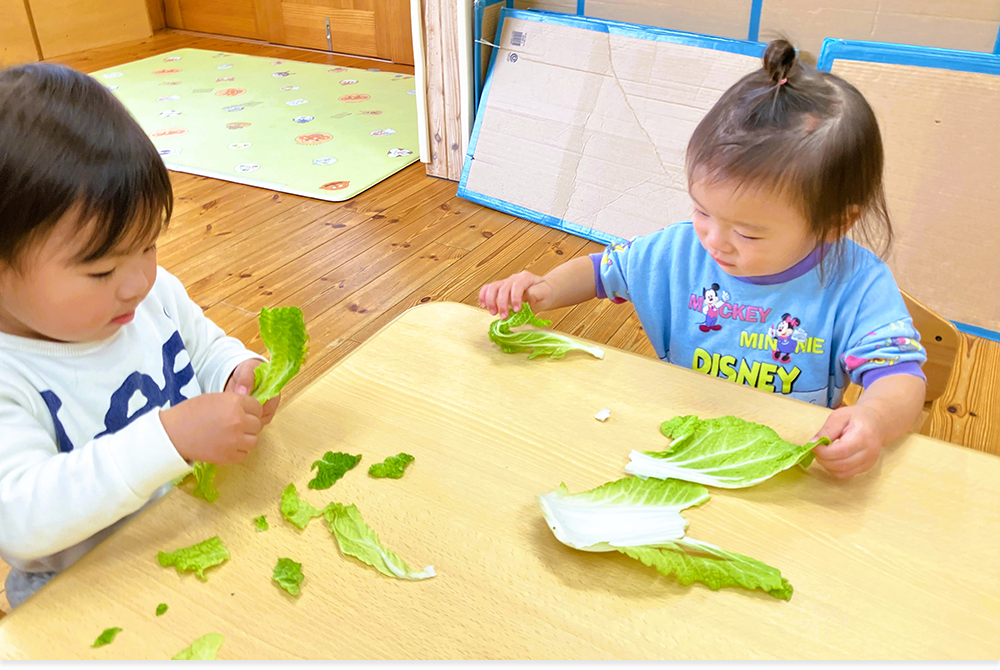三田市の小規模保育園｜ミルクたんぽぽ園